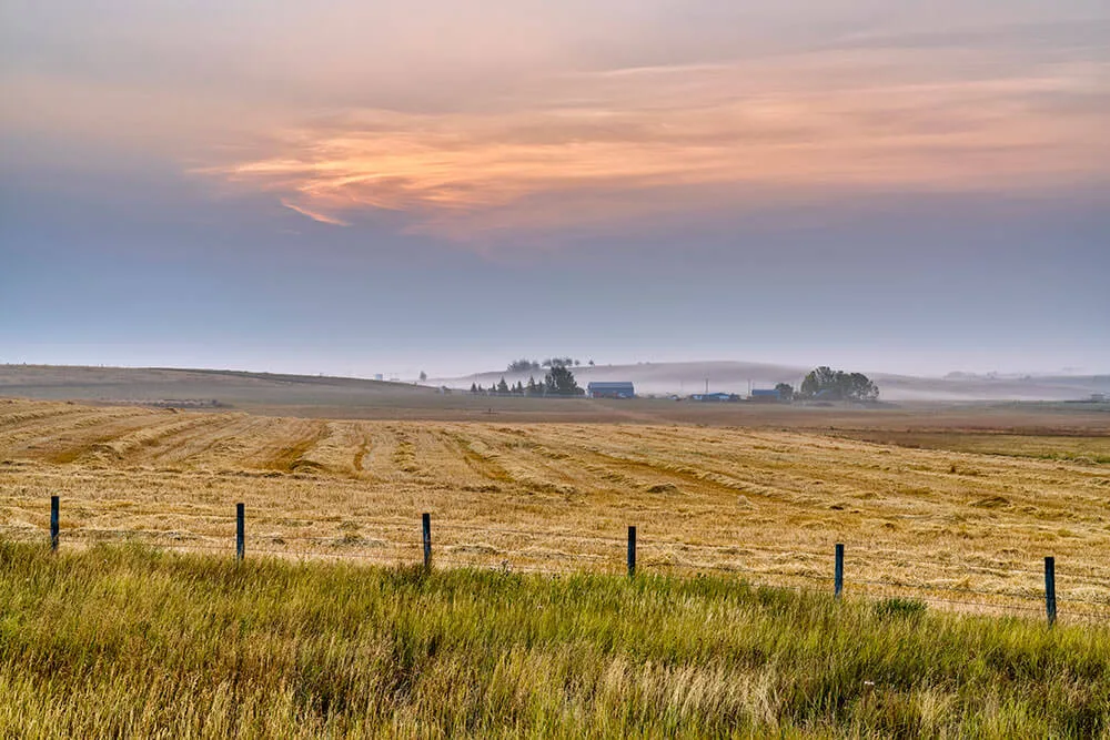 photo of the Alberta prairies